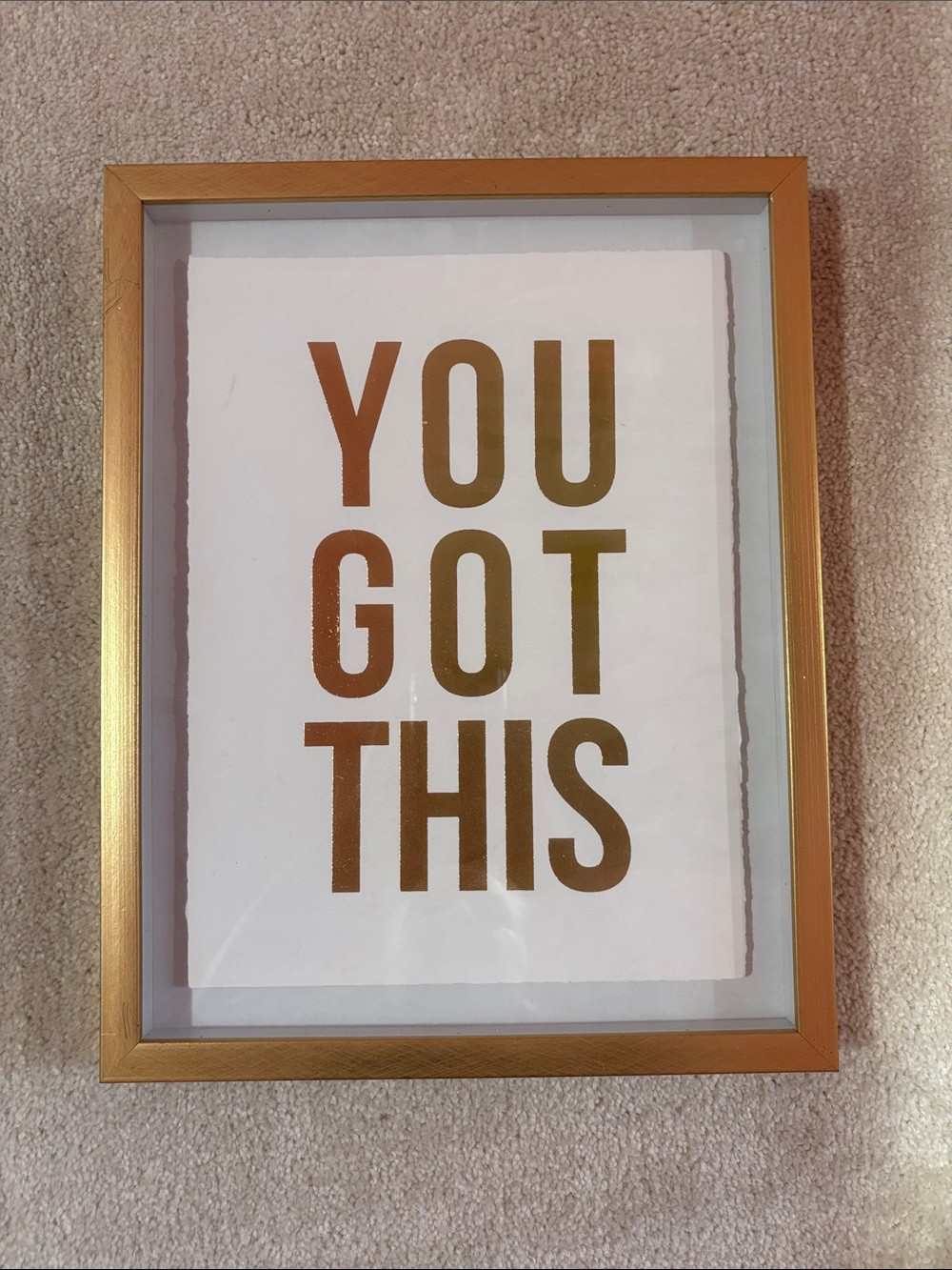 Gold Framed "YOU GOT THIS" Wall Art